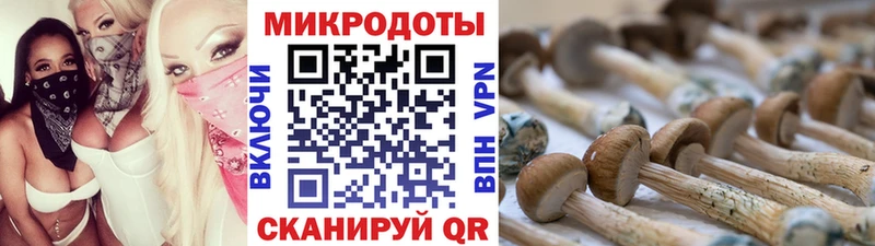 Псилоцибиновые грибы Cubensis  Шуя 