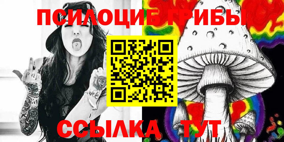 Галлюциногенные грибы Psilocybe Шуя